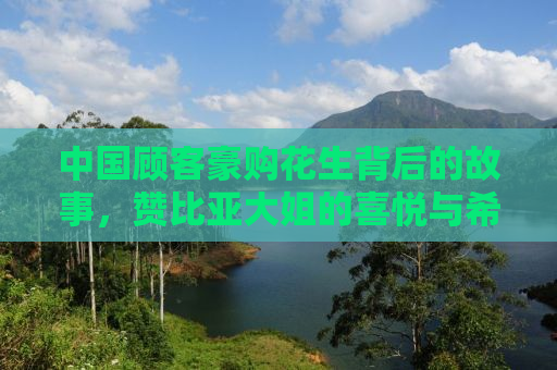中国顾客豪购花生背后的故事，赞比亚大姐的喜悦与希望
